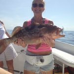 Fish Naples Florida